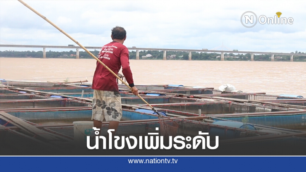 น้ำโขงขึ้นต่อเนื่องกระชังปลาอ่วม น้ำโขงขึ้นต่อเนื่องกระชังปลาอ่วม