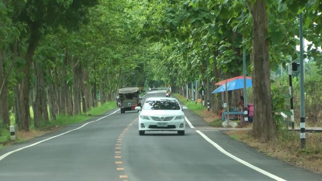 ประทับใจ "อุโมงค์ต้นสัก" ยาวกว่า5กม.