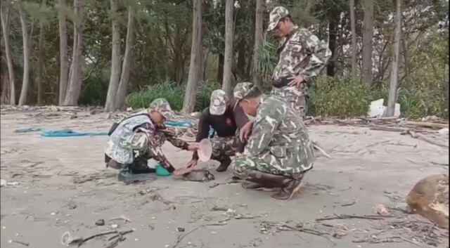 ช่วยชีวิตเต่าติดอวนชาวประมง