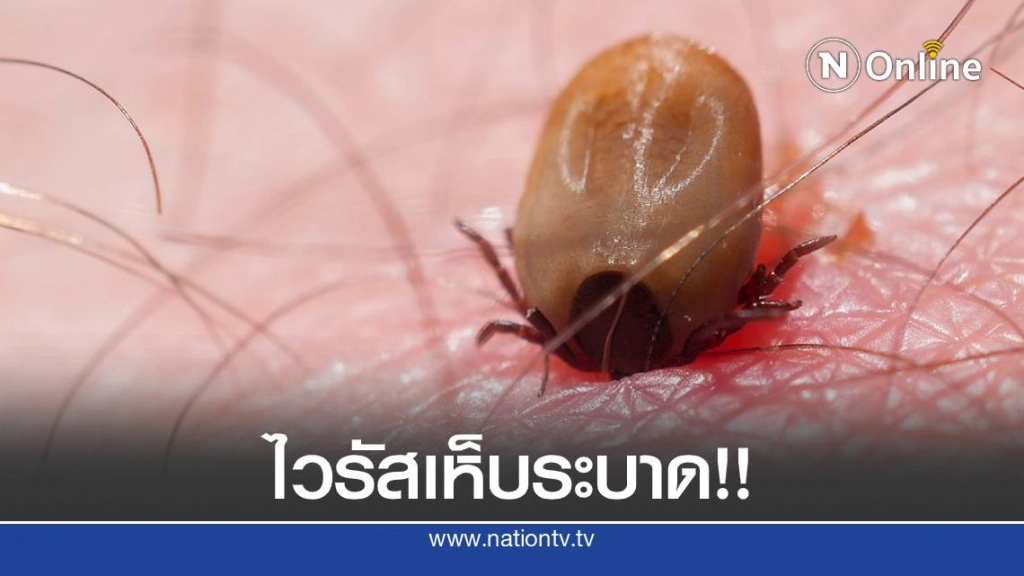 ไวรัสสายพันธุ์ใหม่ระบาดในจีน มีเห็บเป็นพาหะ พบดับแล้ว7ราย