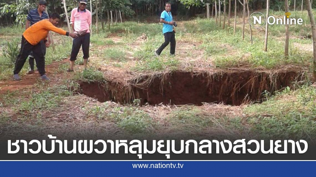 เกิดหลุมยุบขนาดใหญ่กลางสวนยางพาราหลังอุทกภัย เกิดหลุมยุบขนาดใหญ่กลางสวนยางพาราหลังอุทกภัย