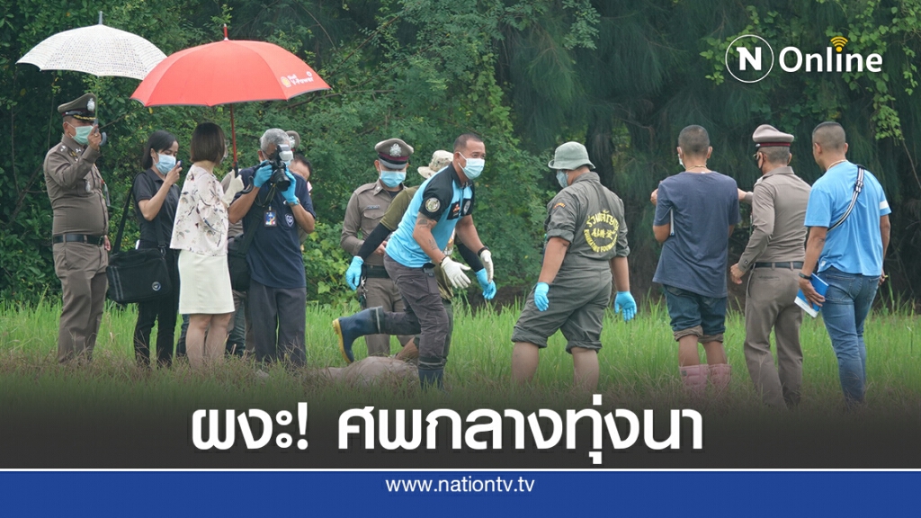 หนุ่มเดินหามุมสงบปลดทุกข์ ผงะเจอศพอืดกลางทุ่งนา หนุ่มเดินหามุมสงบปลดทุกข์ ผงะเจอศพอืดกลางทุ่งนา