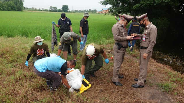 หนุ่มเดินหามุมสงบปลดทุกข์ ผงะเจอศพอืดกลางทุ่งนา