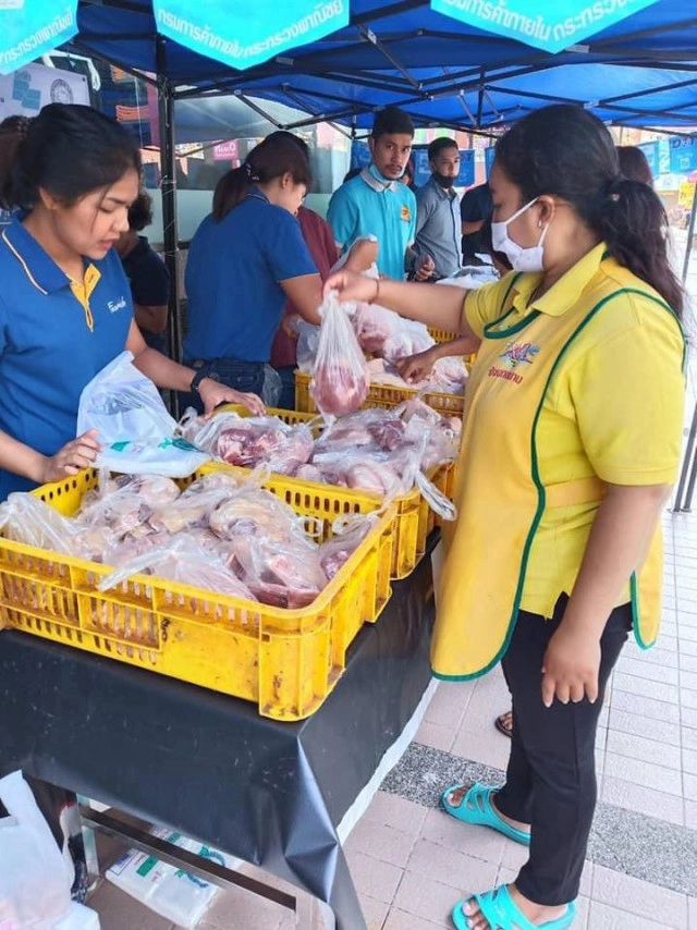 บริโภคเนื้อหมูภาคใต้ลดลง 40 เปอร์เซ็นต์