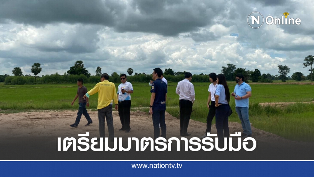 พาณิชย์บุรีรัมย์ลงพื้นที่ดูผลผลิตข้าว หามาตรการรับมือ