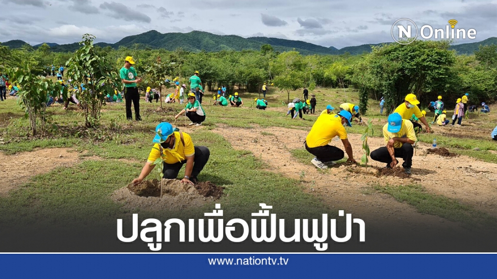 ป่าไม้จับมือมูลนิธิคนสร้างป่า เดินหน้าปลูกฟื้นฟูป่า