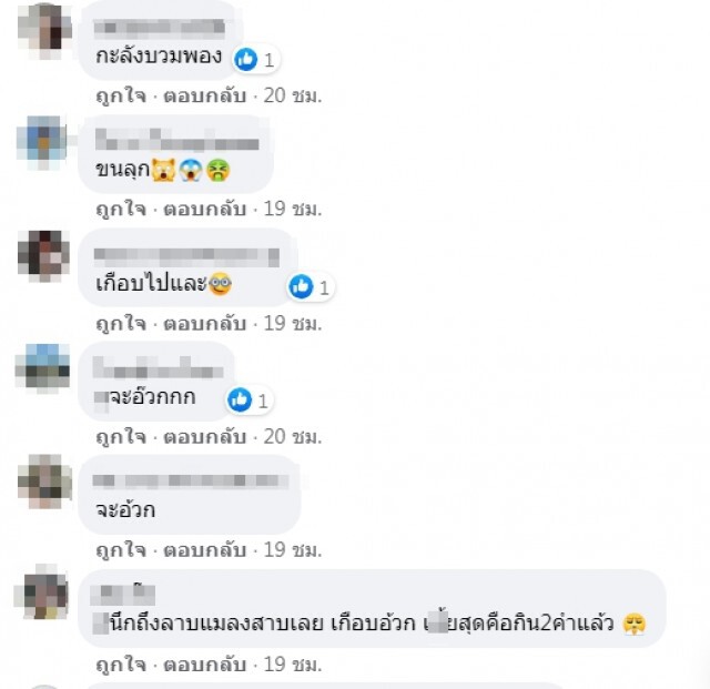แจ็คพอต ซื้อลาบหมู ดันได้ลาบจกสภาพดี อวัยวะครบถ้วน