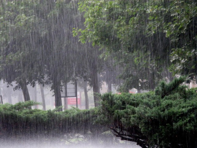 อุตุฯ เตือนทั่วไทยยังคงมีฝนต่อเนื่อง กทม.ชุ่มฉ่ำ ตก70%