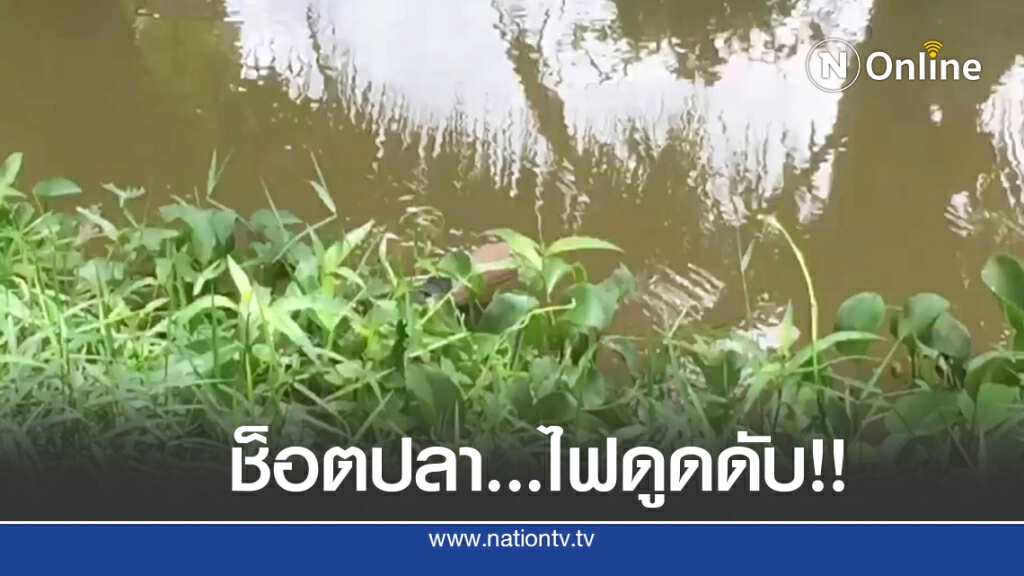 แรงงานต่างด้าวต่อไฟช็อตปลา ลื่นตกคลองไฟดูดดับ แรงงานต่างด้าวต่อไฟช็อตปลา ลื่นตกคลองไฟดูดดับ