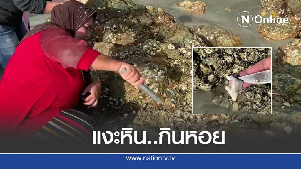 แงะ "หอยติเตบ" กิน-ขายสร้างรายได้เสริม