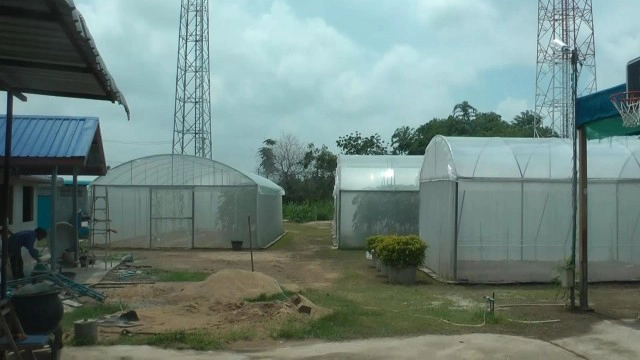 เกษตรแนวใหม่-ปลูกแตงโมแบบลูกนอนเปล