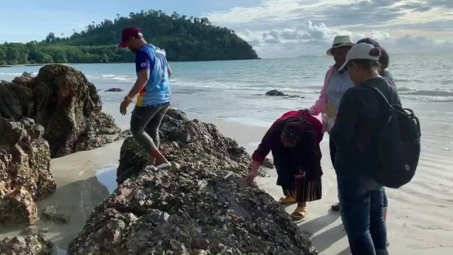 แงะ "หอยติเตบ" กิน-ขายสร้างรายได้เสริม