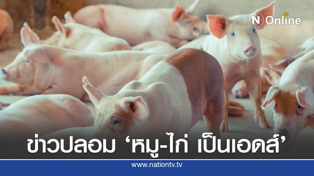 ปศุสัตว์เตือน!! ปล่อยข่าวปลอม 'หมู-ไก่ เป็นเอดส์' ผิด พ.ร.บ.คอมฯ