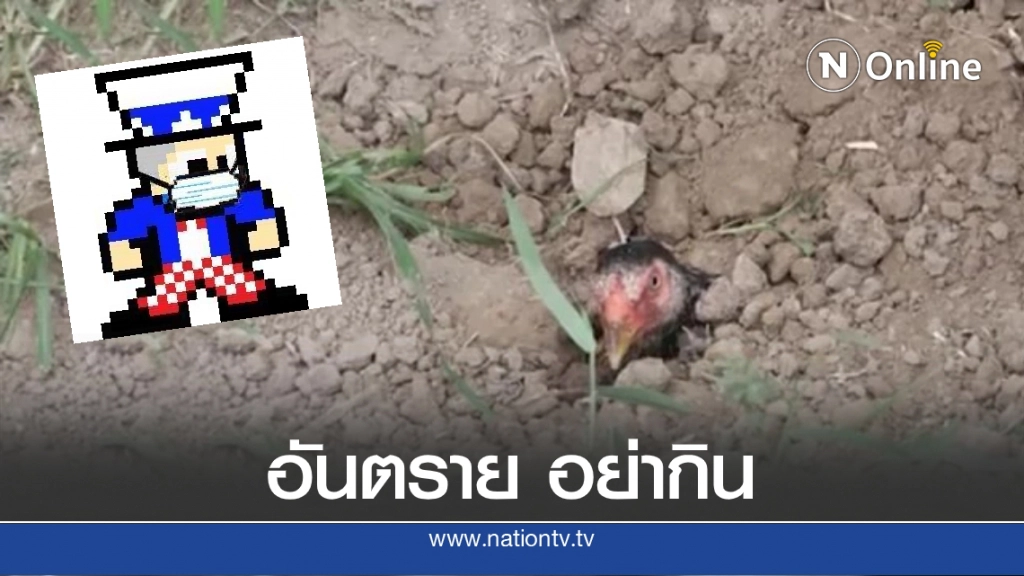 เพจดังชี้ "ไก่หลุม-ไก่กะทิ" เมนูอันตราย!