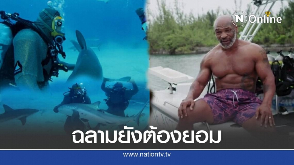 ไมค์ ไทสัน สุดเก๋ากล่อมฉลามนอนหลับคามือ