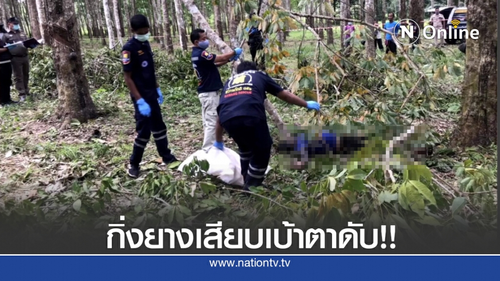 กิ่งต้นยางเสียบทะลุเบ้าตา ดับคาสวนกว่า 3 วัน