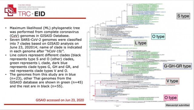 หมอธีระวัฒน์ อธิบายชัด ความรุนแรงและการแพร่กระจายโควิด-19 ไม่ใช่กำหนดจากปัจจัยสายพันธุ์ อย่างเดียว