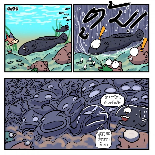 ดร.นณณ์ ชี้ ปล่อยปลาดุกระบบนิเวศเสียหาย กินปลาที่เล็กกว่าหมด