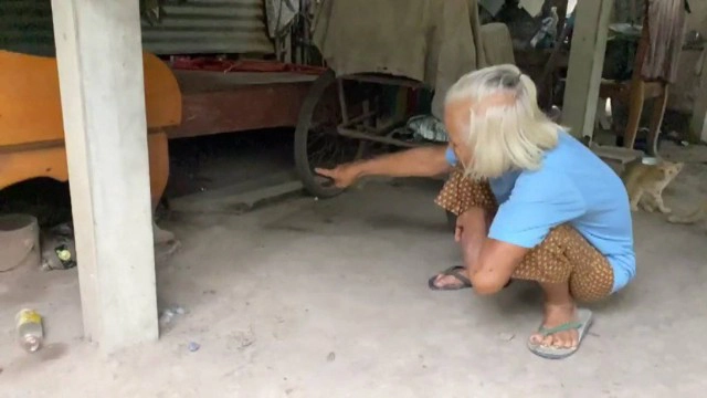 ยายหวิดตาบอด งูเห่าพ่นพิษใส่ดวงตา ขณะเลื้อยเข้าบ้านเตรียมกัดแมว