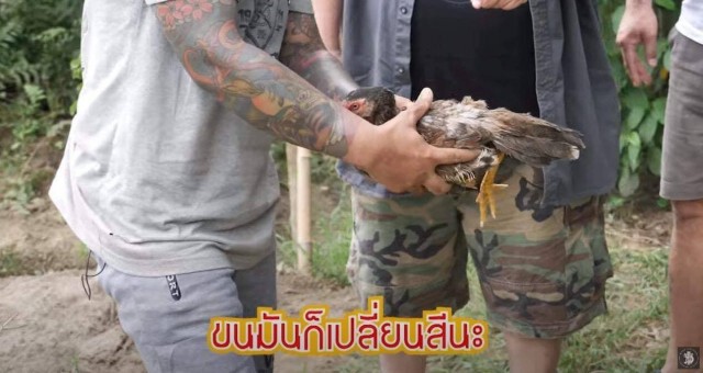 'วอชด็อกไทยแลนด์' เตรียมดำเนินคดี 'หม่อมถนัดแดก' เปิบพิสดาร