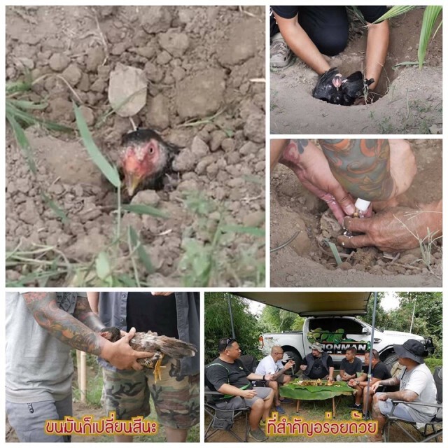 'วอชด็อกไทยแลนด์' เตรียมดำเนินคดี 'หม่อมถนัดแดก' เปิบพิสดาร