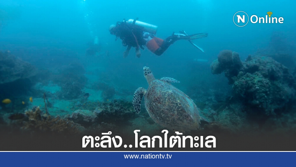 ตะลึงโลกใต้ทะเล หน้าถ้ำไวกิ้งอ่าวนาง ตะลึงโลกใต้ทะเล หน้าถ้ำไวกิ้งอ่าวนาง
