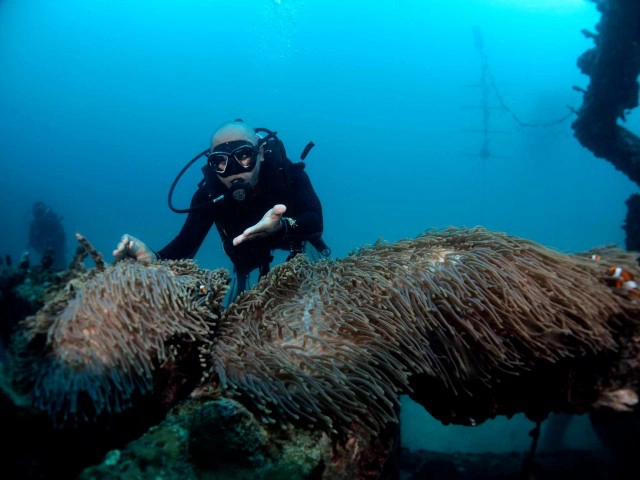 ตะลึงโลกใต้ทะเล หน้าถ้ำไวกิ้งอ่าวนาง