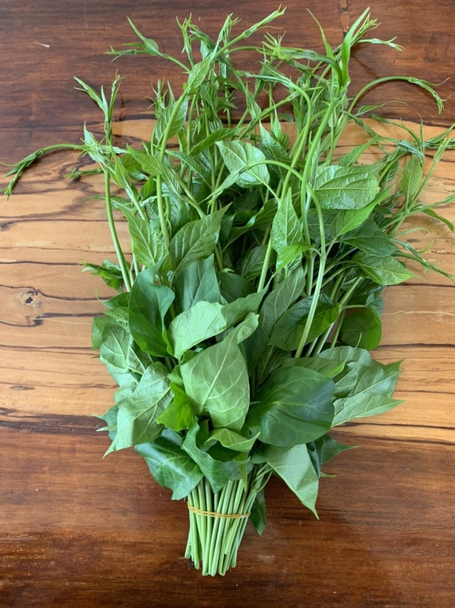 ผักเชียงดา ผักมหัศจรรย์ แก้พิษลดน้ำตาล