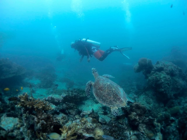 ตะลึงโลกใต้ทะเล หน้าถ้ำไวกิ้งอ่าวนาง