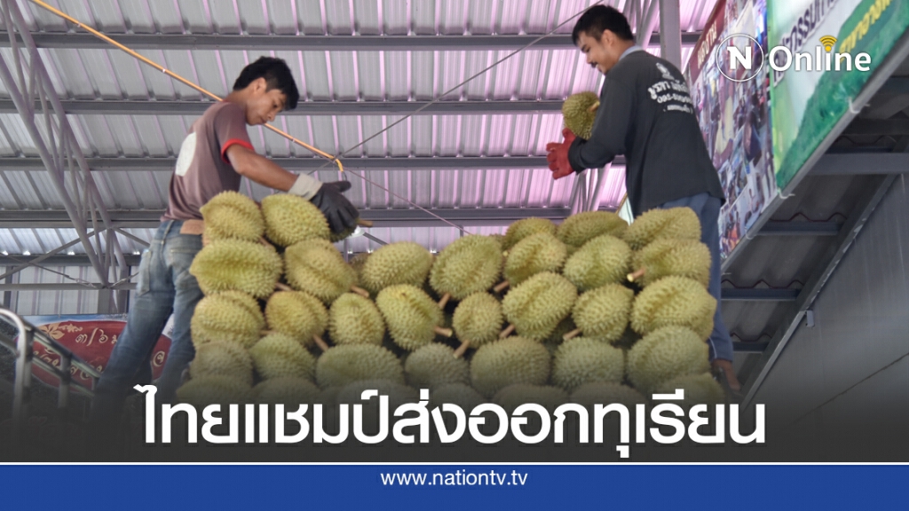 FTA อาเซียน-จีน ดันส่งออกทุเรียนไปจีนครึ่งปีพุ่ง 140%