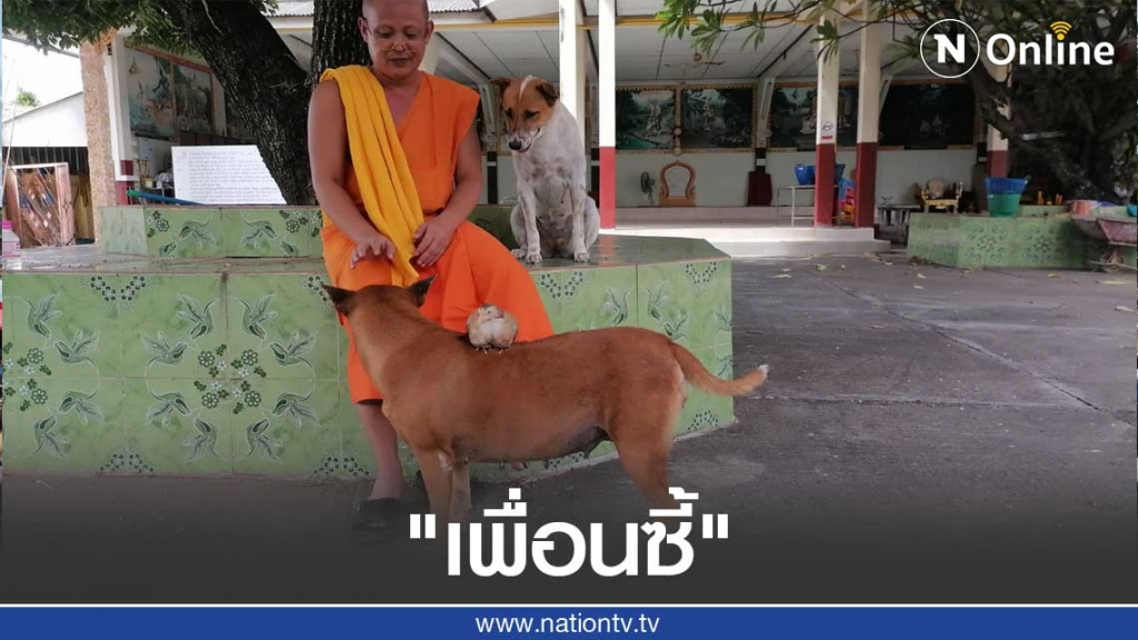เปิดคลิบสุดน่ารักเพื่อนซี้ต่างสายพันธุ์ "หมา" กับ "ไก่"