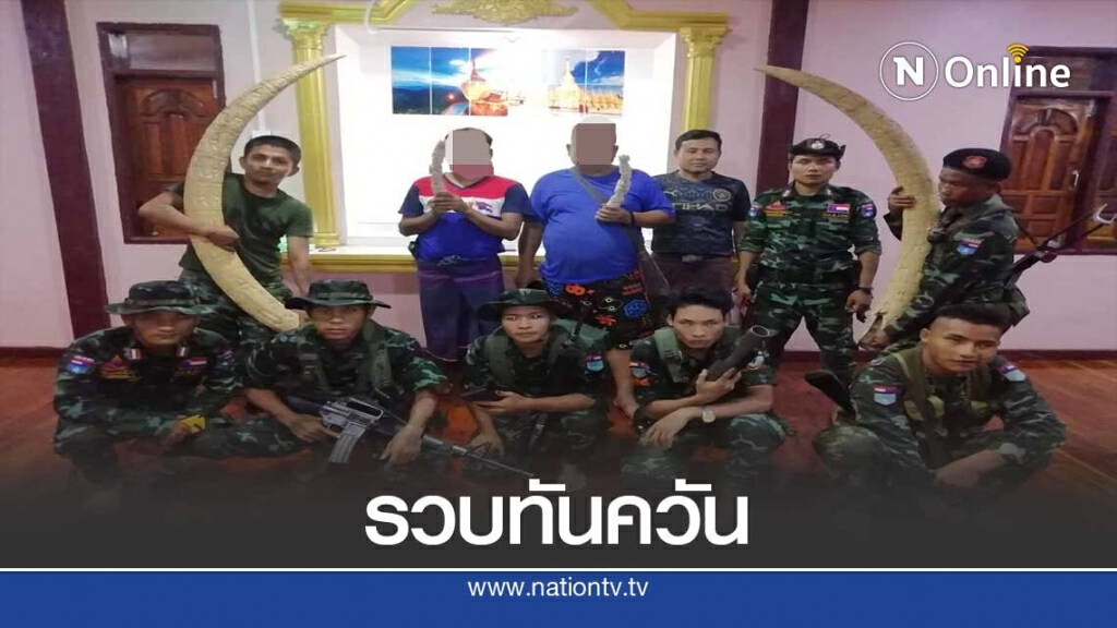รวบแล้ว2คนร้ายขโมยงาช้างอายุหลายร้อยปี รวบแล้ว2คนร้ายขโมยงาช้างอายุหลายร้อยปี