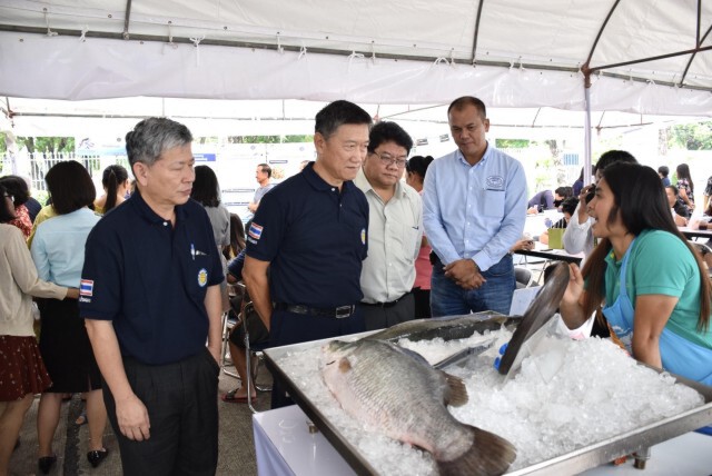 ประมงจับมือพาณิชย์ดัน 'ปลากะพง' ขึ้นห้างแก้ราคาตก