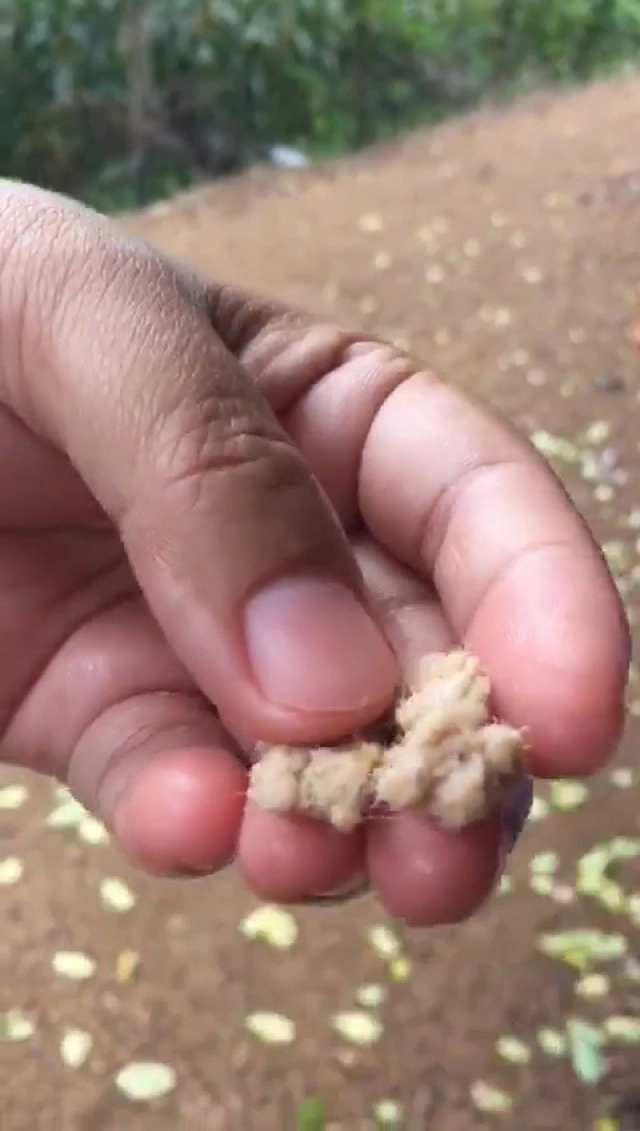 ชาวบ้านเปิดคลิปขนมจีนลวงโลก เจอทิชชู่ในน้ำยา ช้อนมาเต็มๆตาเป็นก้อน