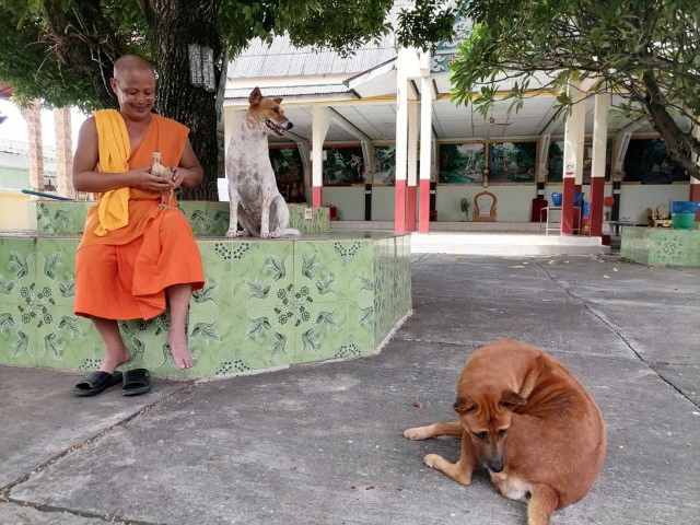 เปิดคลิบสุดน่ารักเพื่อนซี้ต่างสายพันธุ์ "หมา" กับ "ไก่"