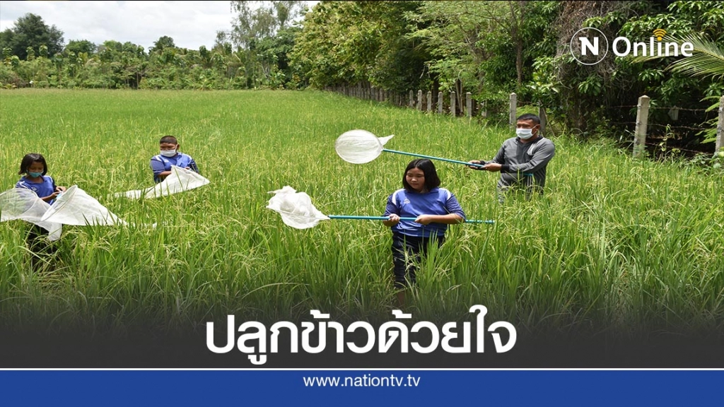 "ปลูกข้าวด้วยใจ เด็กไทยรักข้าว"-เป็นอาหารมื้อเช้า-กลางวัน