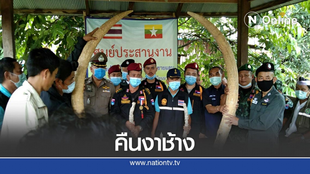 ดีเคบีเอ.คืน"งาช้าง"ถูกขโมยให้จนท.ไทย ดีเคบีเอ.คืน"งาช้าง"ถูกขโมยให้จนท.ไทย
