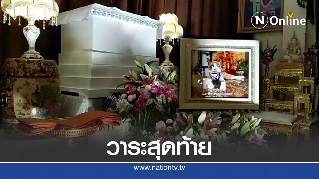 งานศพน้องแมวสุดที่รัก งานศพน้องแมวสุดที่รัก