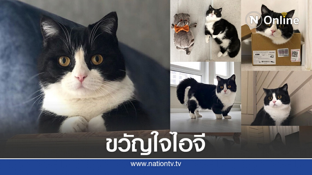 ไม่สนิทอย่าคิดเรียก "ไอ้เตี้ย" ไม่สนิทอย่าคิดเรียก "ไอ้เตี้ย"