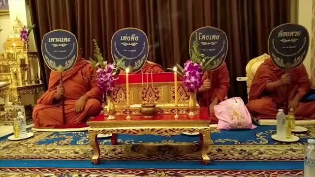 งานศพน้องแมวสุดที่รัก