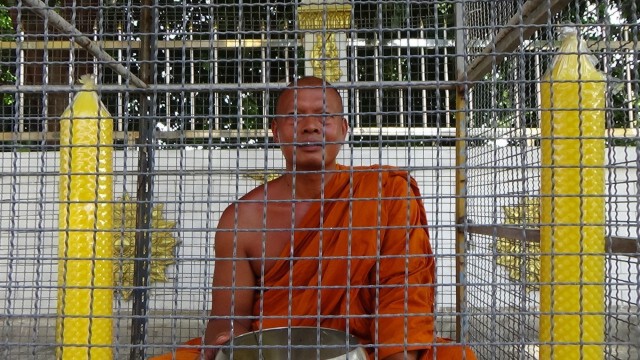 ชาวบ้านร่ำไห้สงสารเจ้าอาวาสขังตัวเองในกรงสุนัข