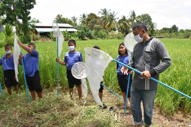 "ปลูกข้าวด้วยใจ เด็กไทยรักข้าว"-เป็นอาหารมื้อเช้า-กลางวัน
