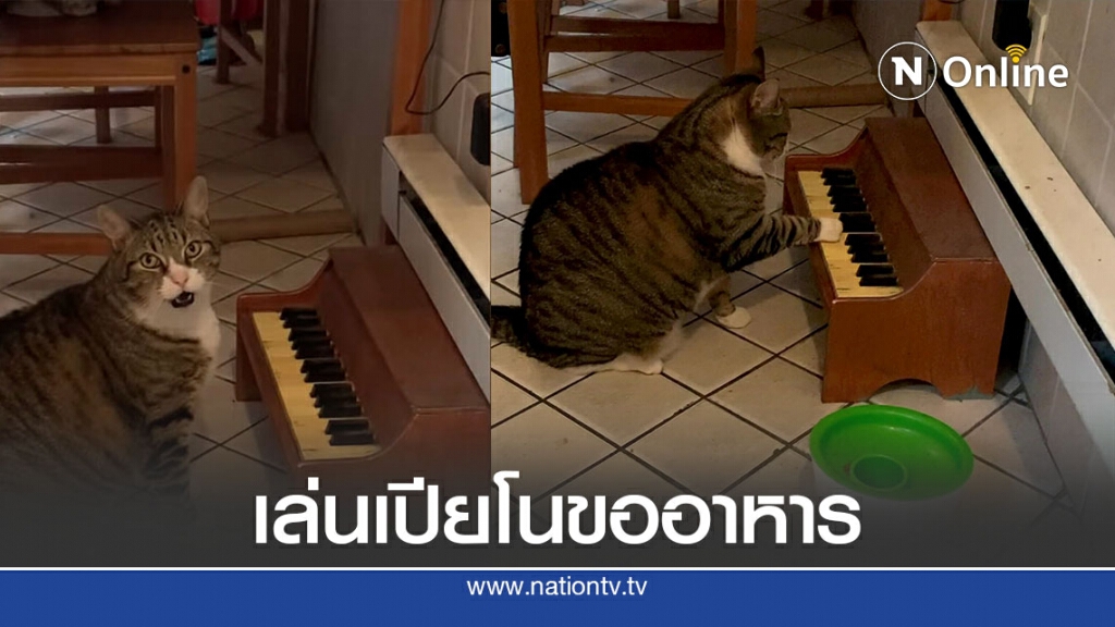 ฟังจบแล้วโปรดปรบมือและให้อาหาร ฟังจบแล้วโปรดปรบมือและให้อาหาร