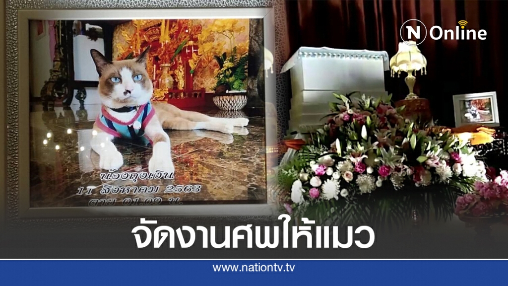 รักเหมือนลูก จัดงานศพน้องถุงเงิน แมวพันธุ์ไทยอายุ 7 ปี รักเหมือนลูก จัดงานศพน้องถุงเงิน แมวพันธุ์ไทยอายุ 7 ปี