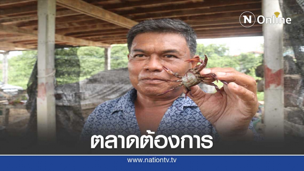 "เลี้ยงปูนา"รายได้งาม-ตลาดต้องการ