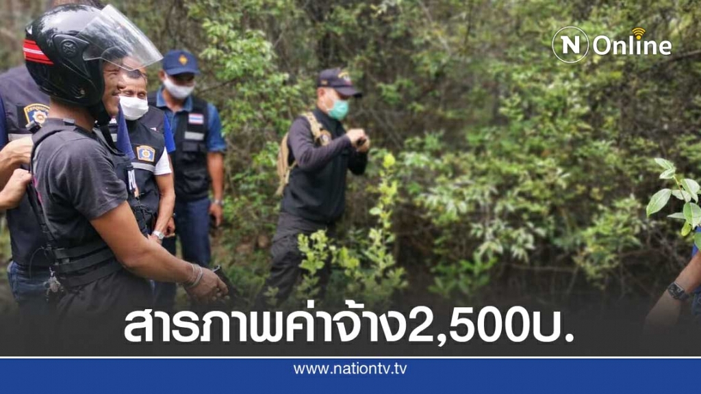 ทำแผนฆ่าโหดสาวใหญ่หมกสวนปาล์มค่าจ้าง2,500 บ. ทำแผนฆ่าโหดสาวใหญ่หมกสวนปาล์มค่าจ้าง2,500 บ.