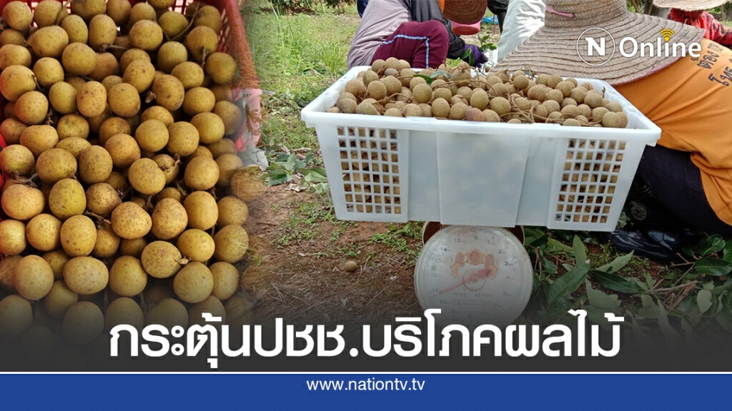 รับมือปัญหาราคาผลไม้ในฤดูกาลตกต่ำ กระตุ้นประชาชนบริโภคผลไม้ในฤดูกาล รับมือปัญหาราคาผลไม้ในฤดูกาลตกต่ำ กระตุ้นประชาชนบริโภคผลไม้ในฤดูกาล