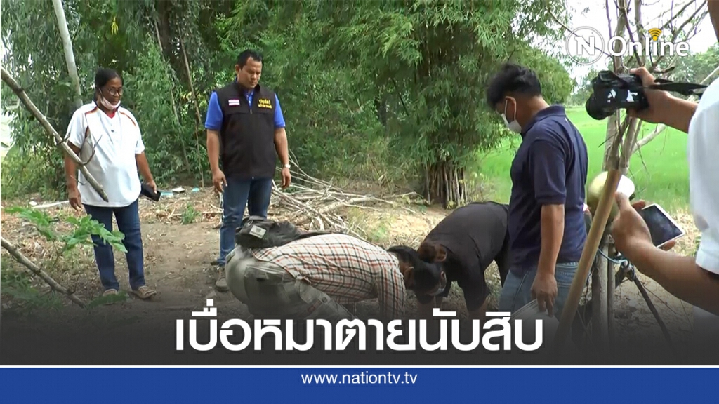 คนใจบาปวางยาเบื่อสุนัขตายนับสิบ เจ้าของร่ำไห้สาบแช่ง