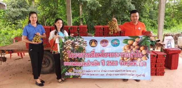 รับมือปัญหาราคาผลไม้ในฤดูกาลตกต่ำ กระตุ้นประชาชนบริโภคผลไม้ในฤดูกาล