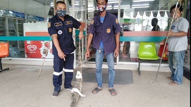 ตัวเงินตัวทองบุกร้านมินิมาร์ท